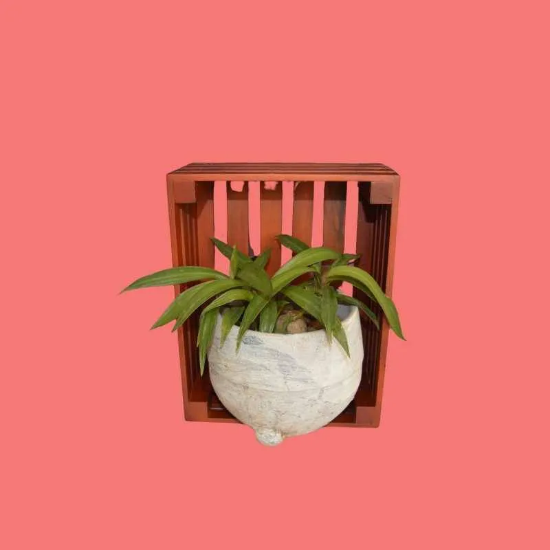 Multi Purpose Wooden Storage Box