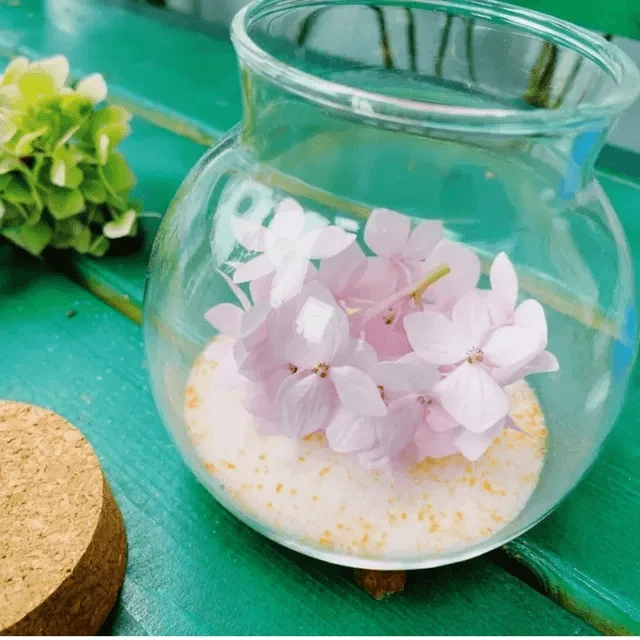Silica Gel Sand Drying Flowers 100g