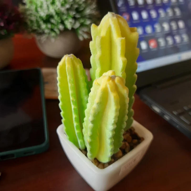 Mini Artificial Cactus Plant