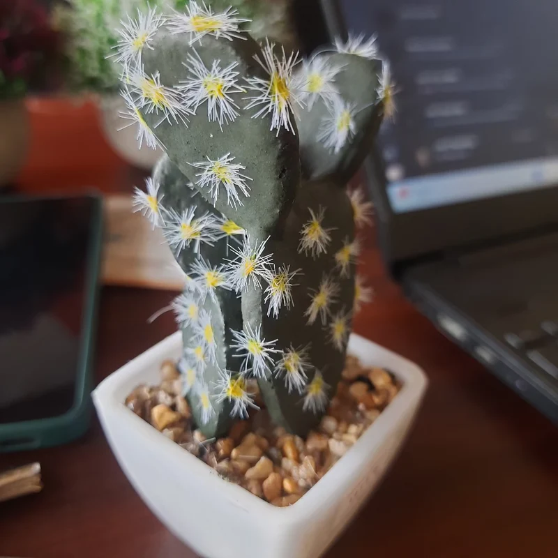 Mini Artificial Cactus Plant