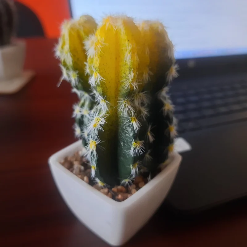Mini Artificial Cactus Plant