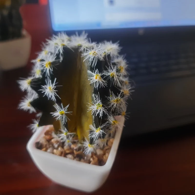 Mini Artificial Cactus Plant