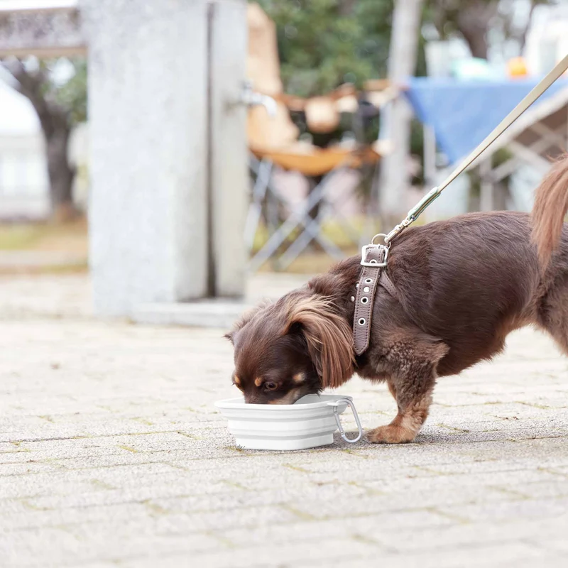 Foldable Pet Food Bowl S