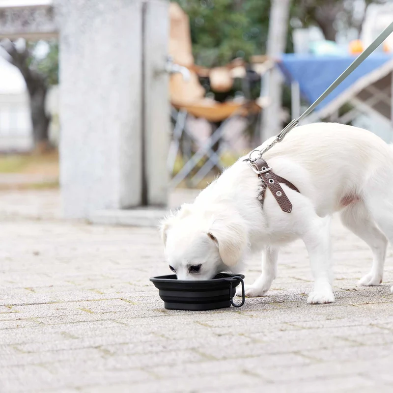 Foldable Pet Food Bowl S
