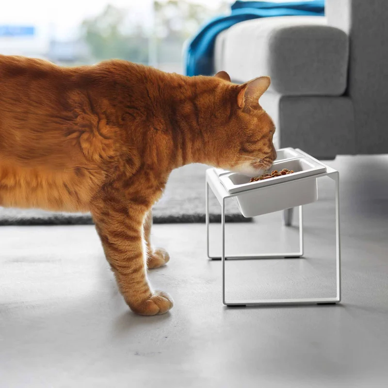 Angled Pet Food Bowls with Slow Feeder & Stand