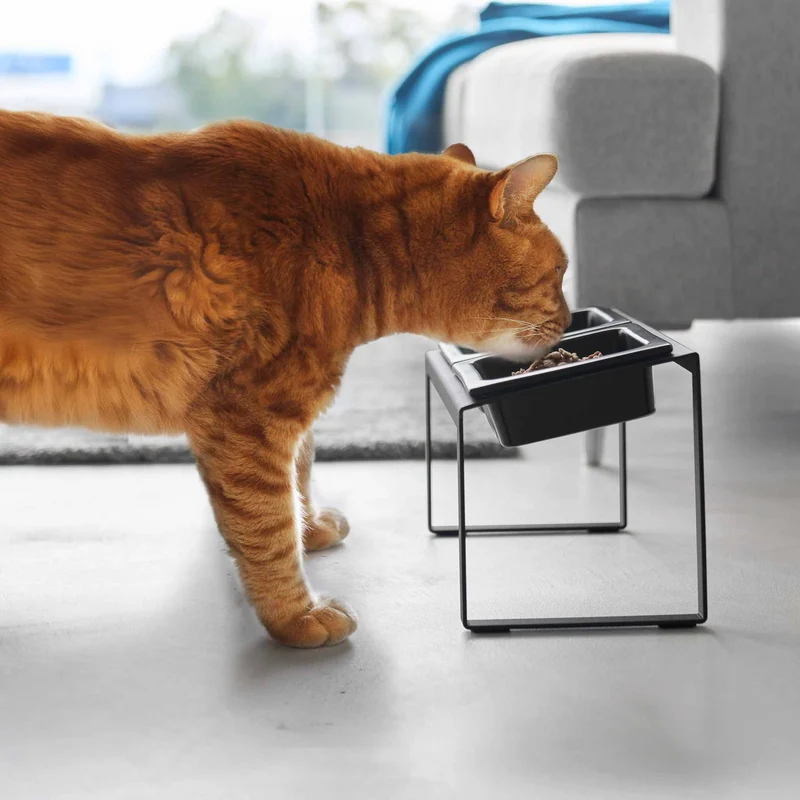 Angled Pet Food Bowls with Slow Feeder & Stand