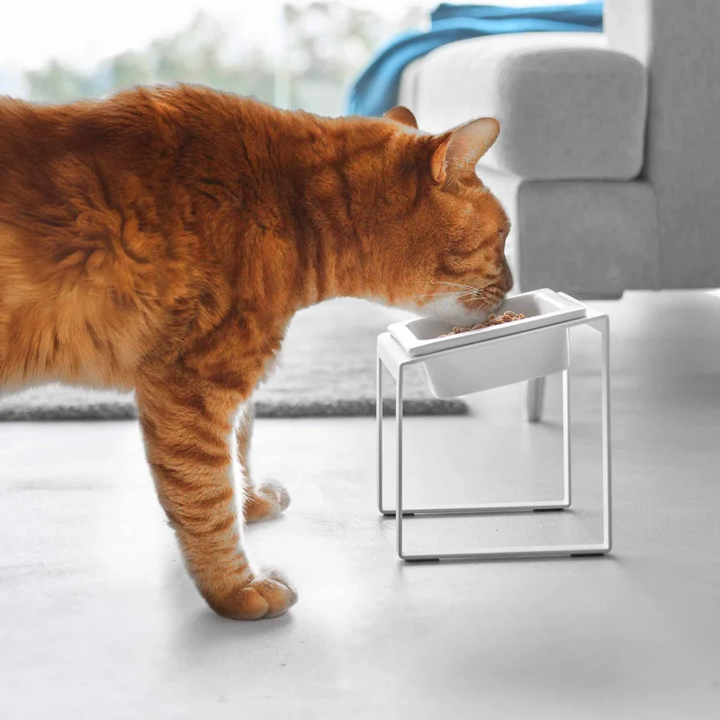 Angled Slow Feeder Pet Food Bowl Stand