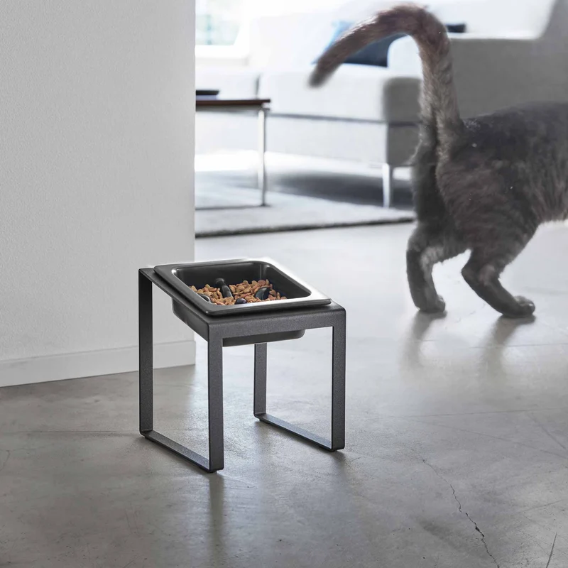 Angled Slow Feeder Pet Food Bowl Stand