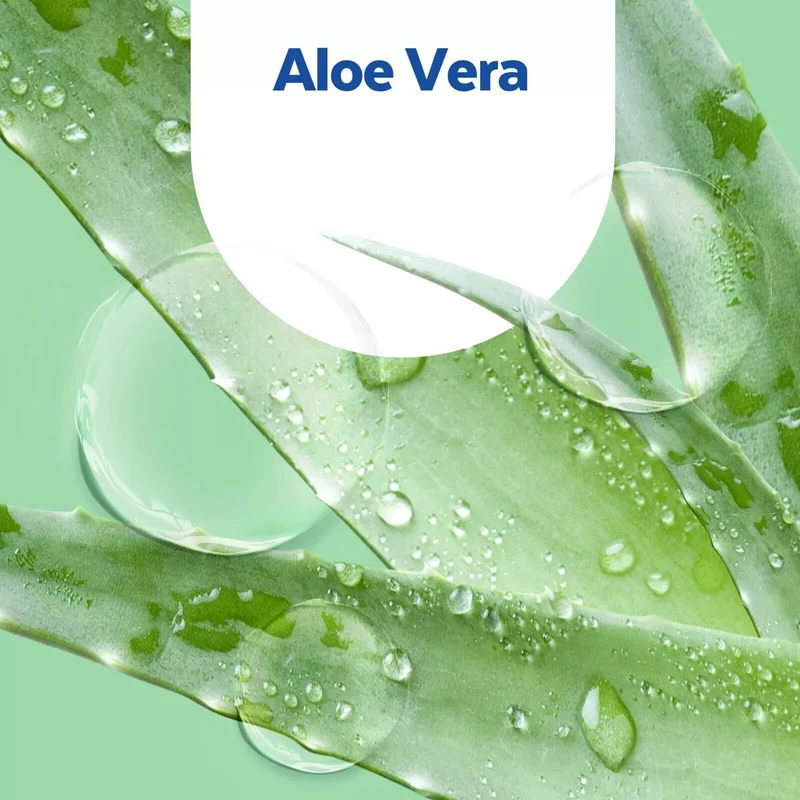 SAGROTAN Flüssigseife Nachfüller für No-Touch Spender, Aloe Vera Duft, 5x250ml