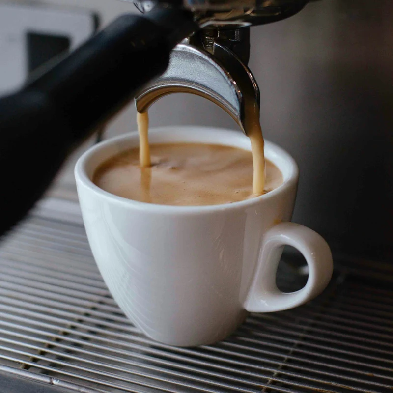 2in1 elektrische Zerkleinerer für Kaffeebohnen, Gewürze 4 Klingen 200W