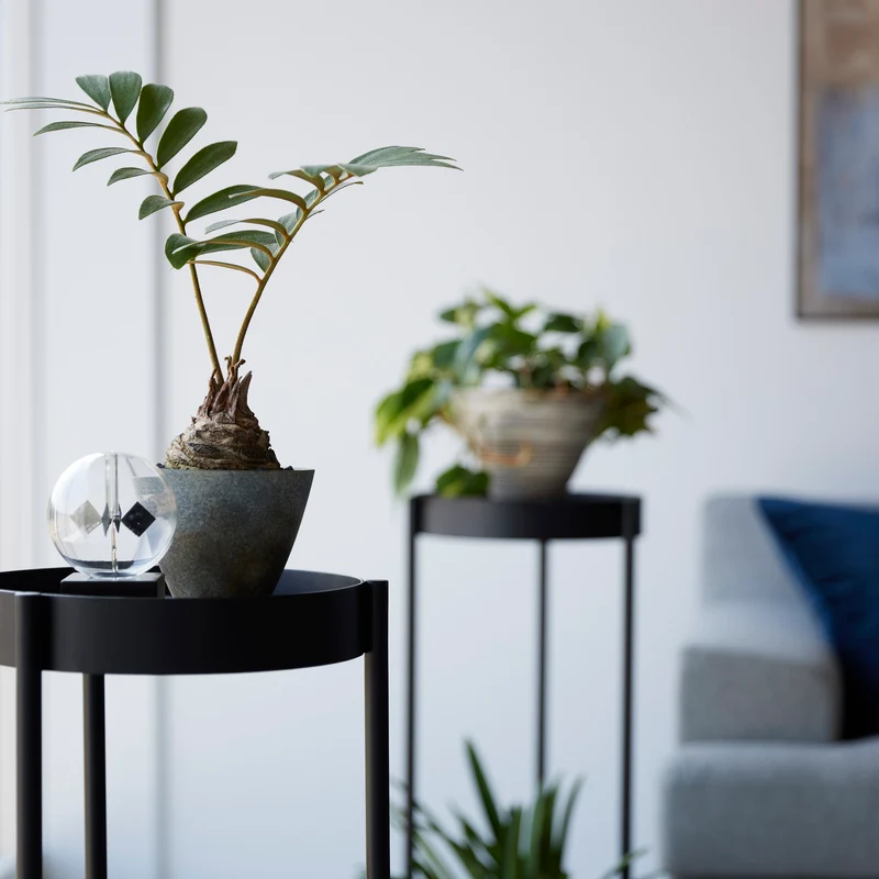 2-Tiered Plant Stand with Casters