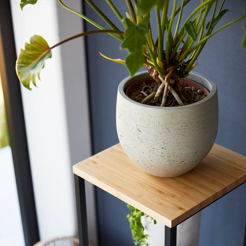 2-Tiered Wood-Top Shelf