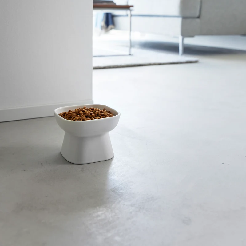 Ceramic Pet Food Bowl