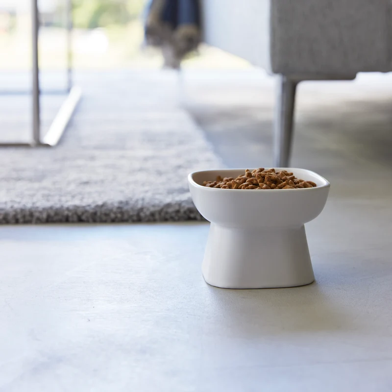 Ceramic Pet Food Bowl