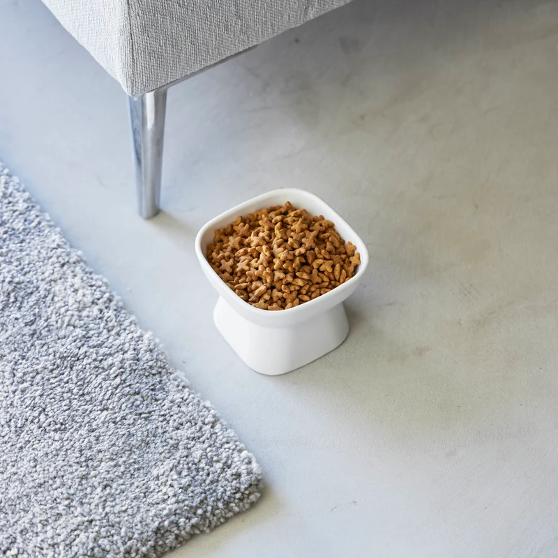 Ceramic Pet Food Bowl