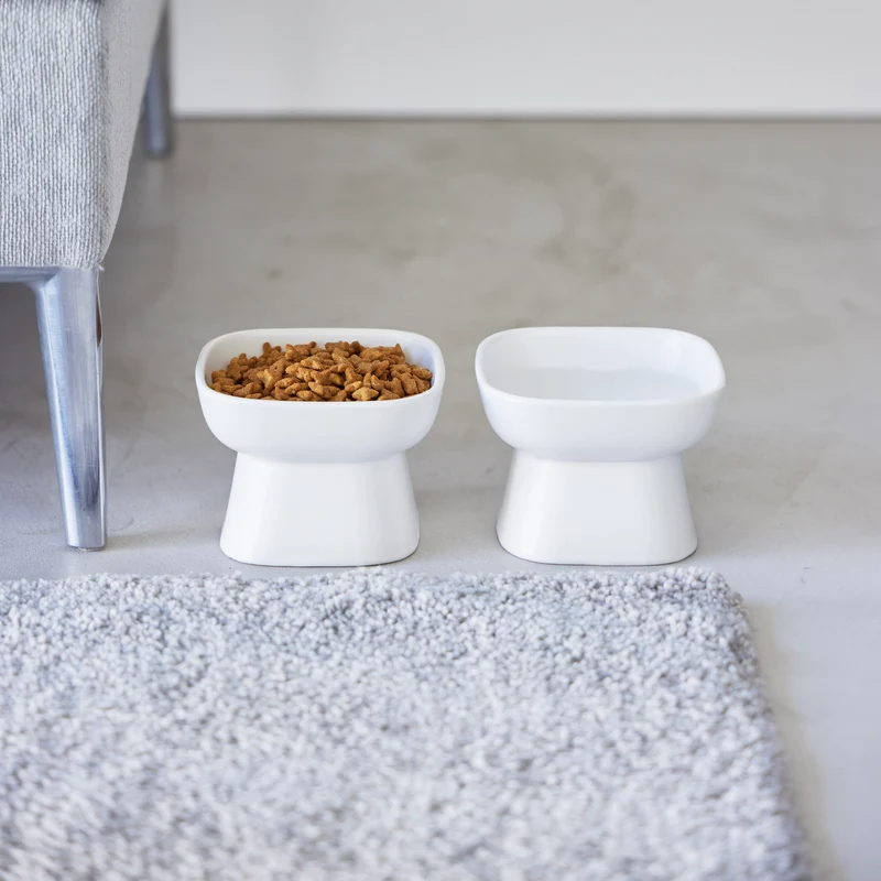 Ceramic Pet Food Bowl