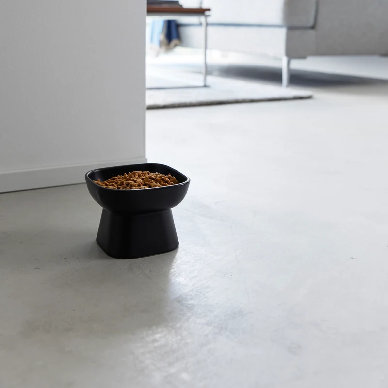 Ceramic Pet Food Bowl
