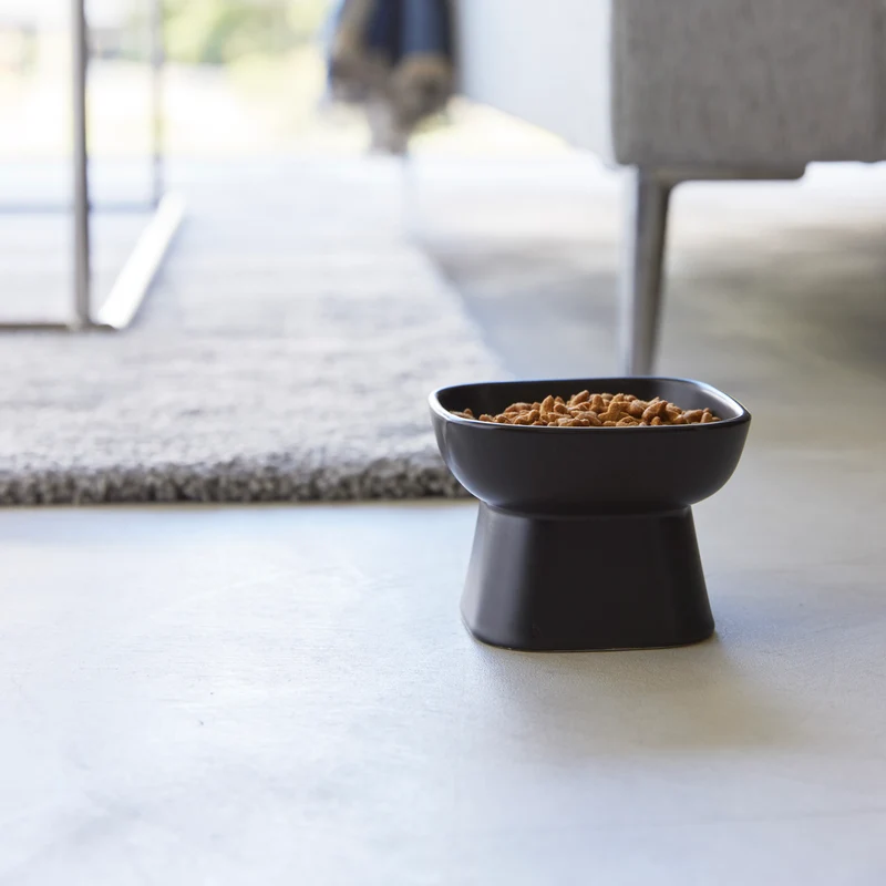 Ceramic Pet Food Bowl