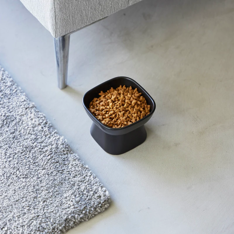 Ceramic Pet Food Bowl