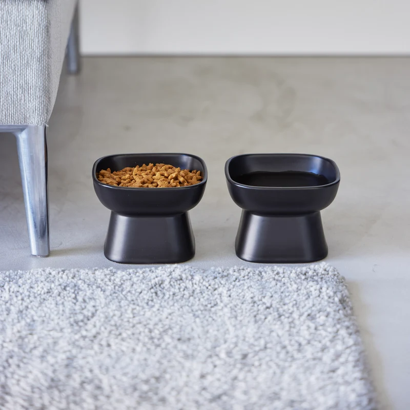 Ceramic Pet Food Bowl