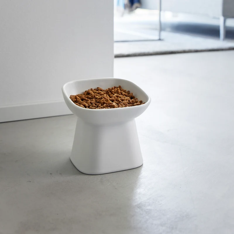 Angled Ceramic Pet Food Bowl