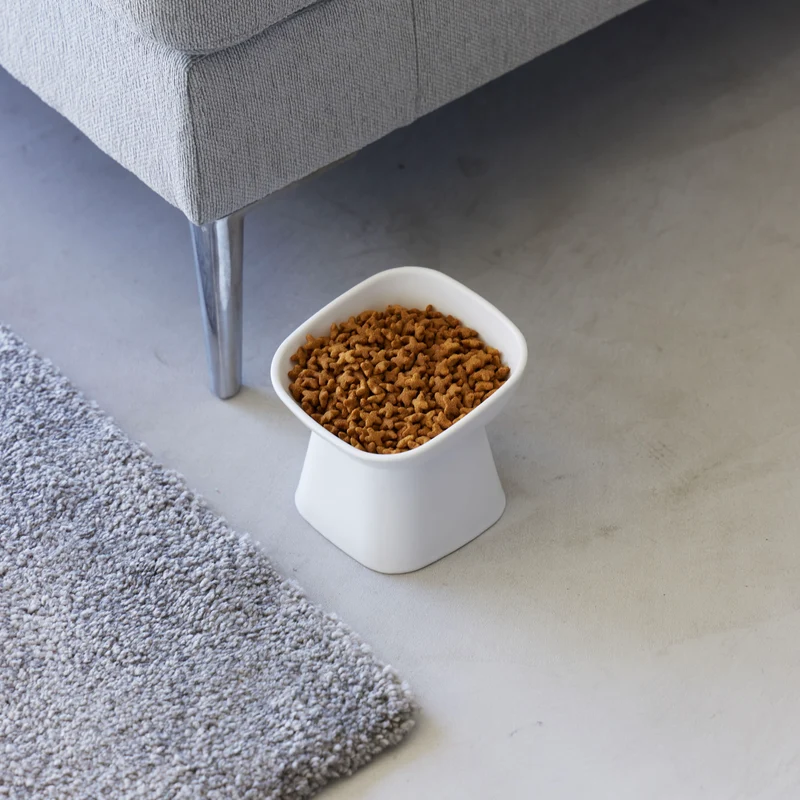 Angled Ceramic Pet Food Bowl