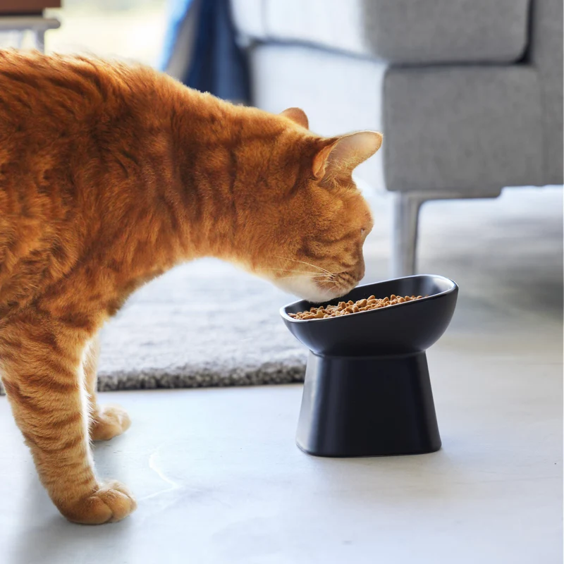 Angled Ceramic Pet Food Bowl