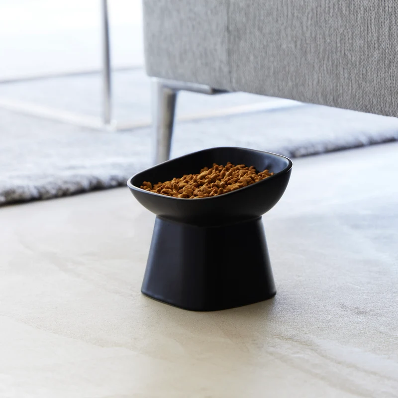 Angled Ceramic Pet Food Bowl