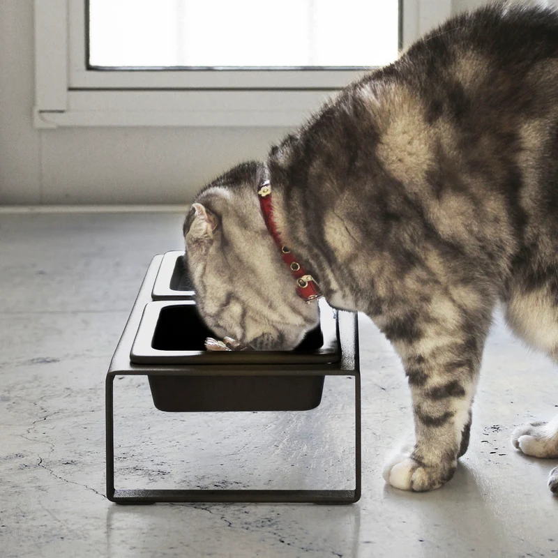 Pet Food Bowls with Stand