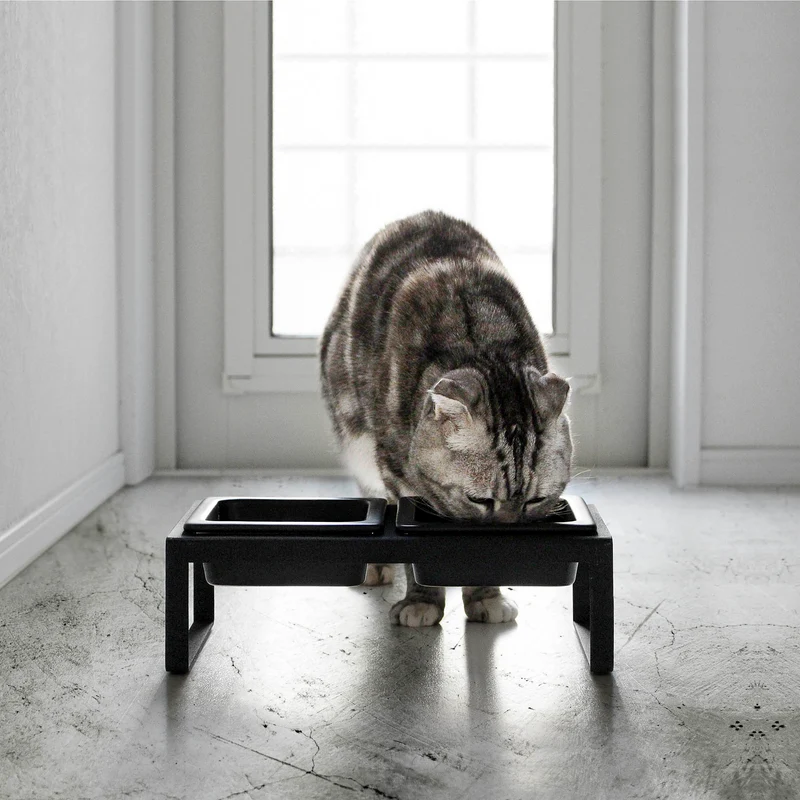 Pet Food Bowls with Stand
