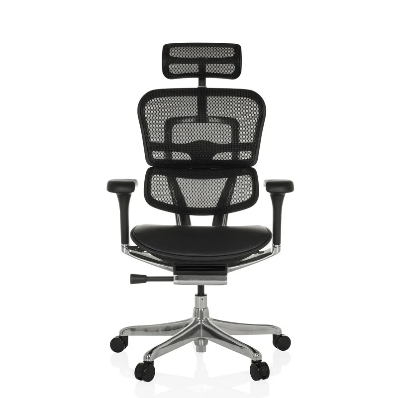 B-Ware hjh OFFICE ERGOHUMAN GEN2 Chefsessel Leder Netz schwarz ergonomisch 150kg