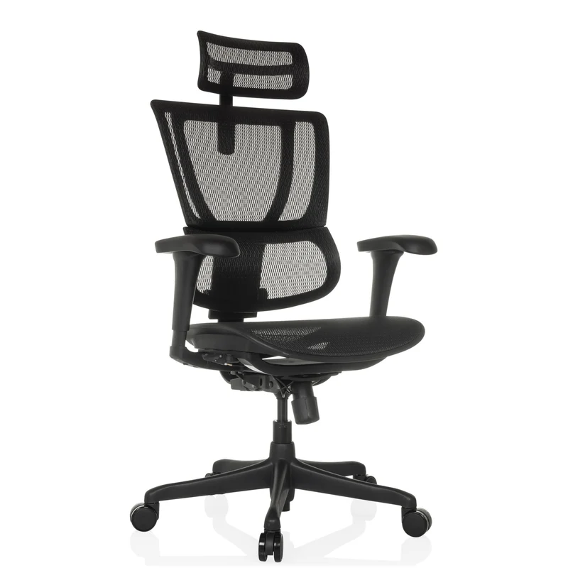 B-Ware hjh OFFICE Bürostuhl Chefsessel Drehstuhl ERGOHUMAN SLIM ECO M GEN2 schwarz