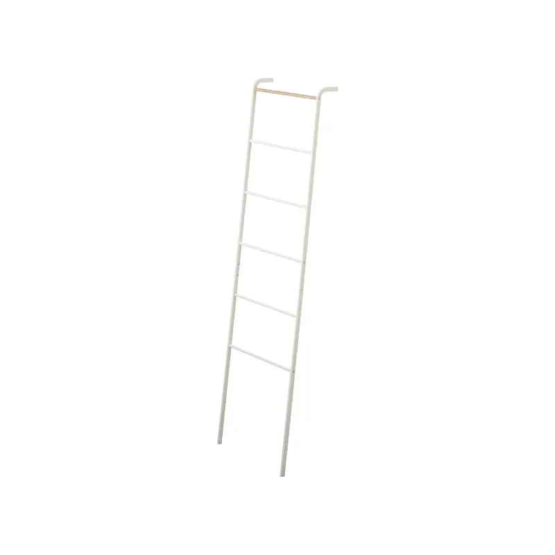 Leaning Ladder