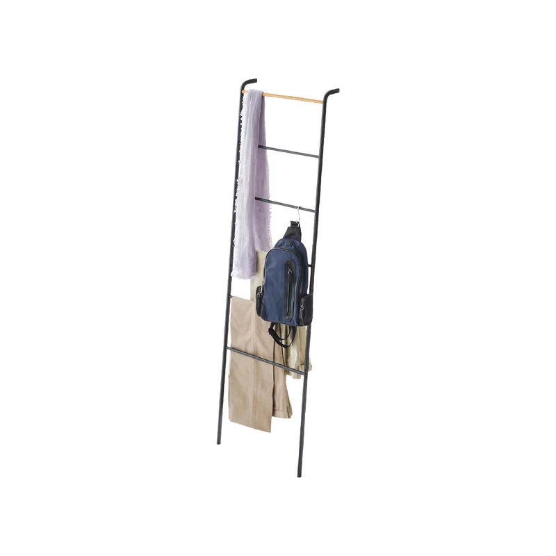 Leaning Ladder