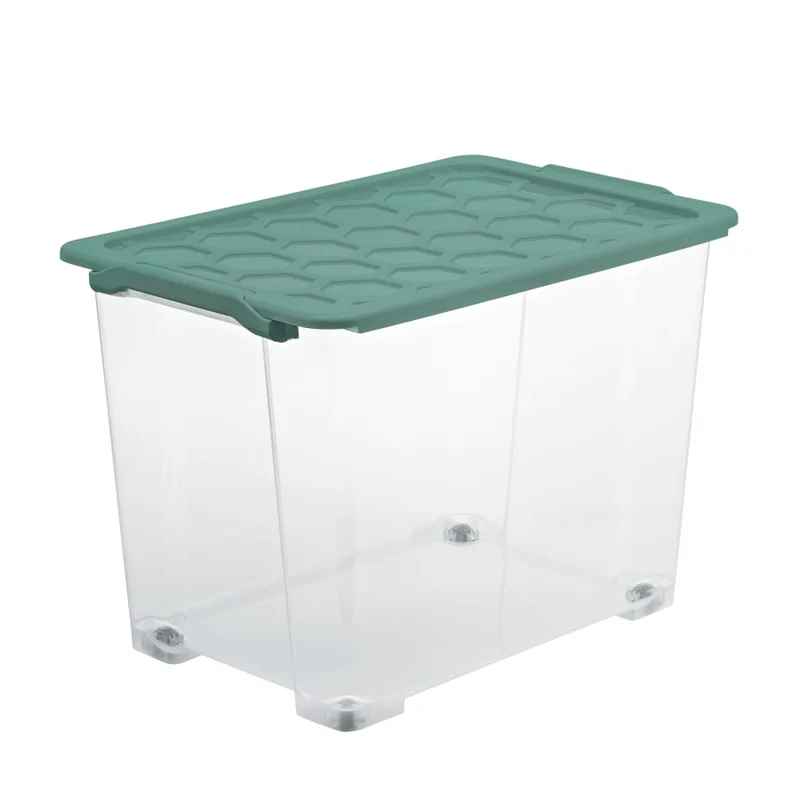 Rotho EVO SAFE Box, mistletoe green