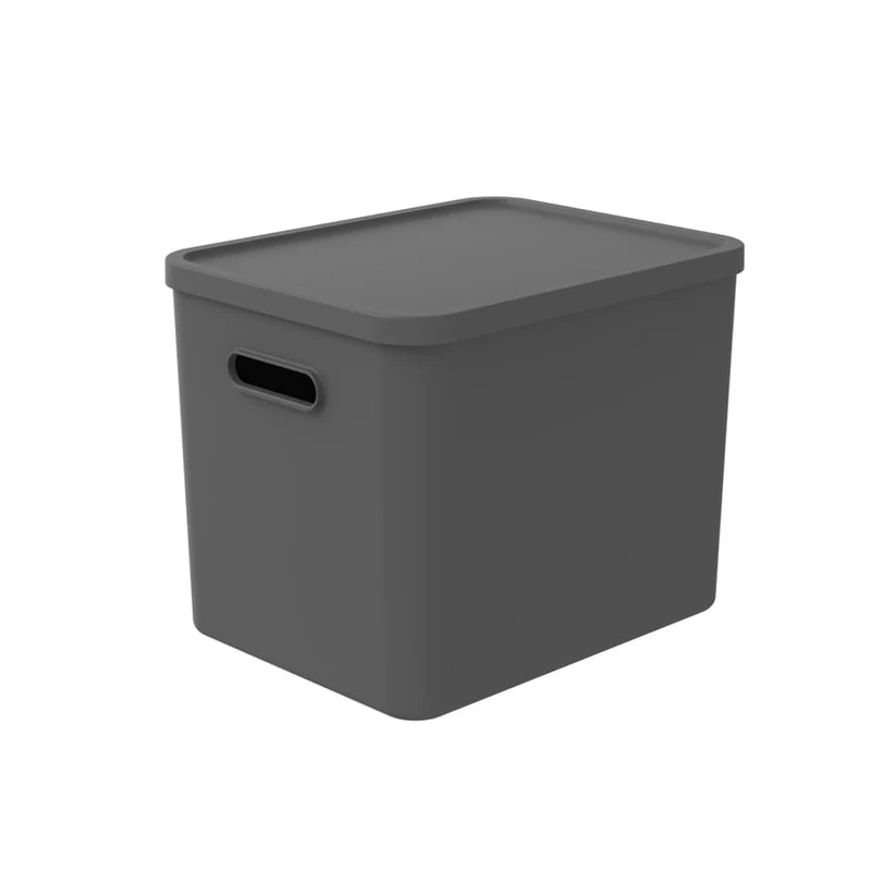 Rotho C4 ALBULA Aufbewahrungsbox, 27 Liter