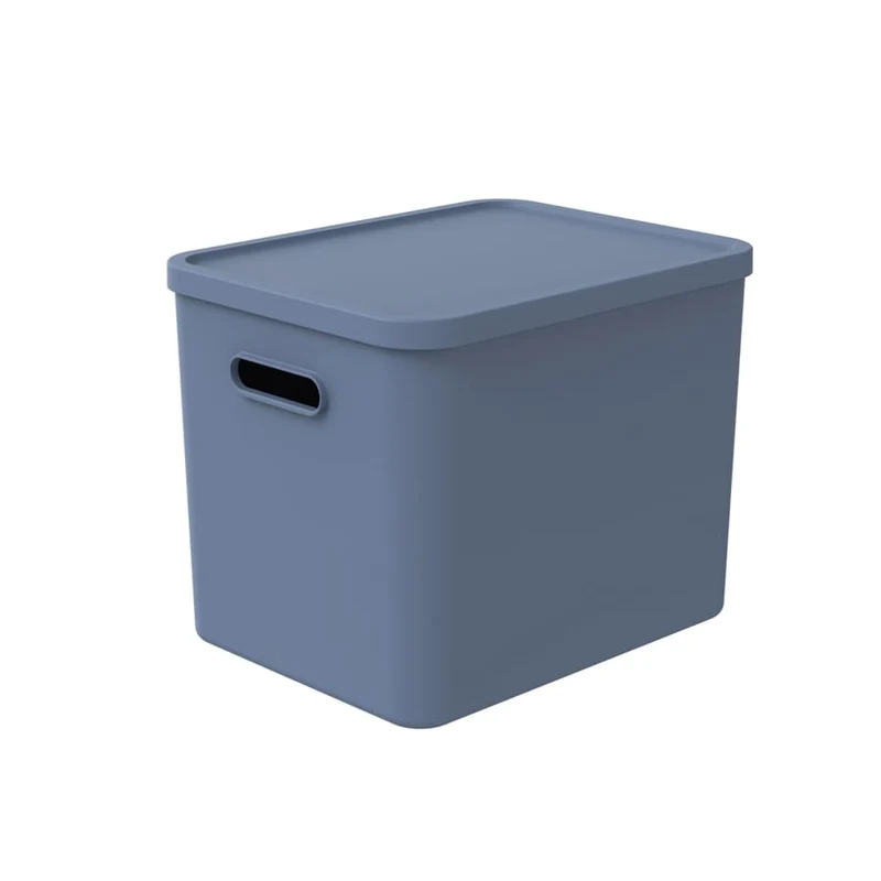 Rotho C4 ALBULA Aufbewahrungsbox, 27 Liter