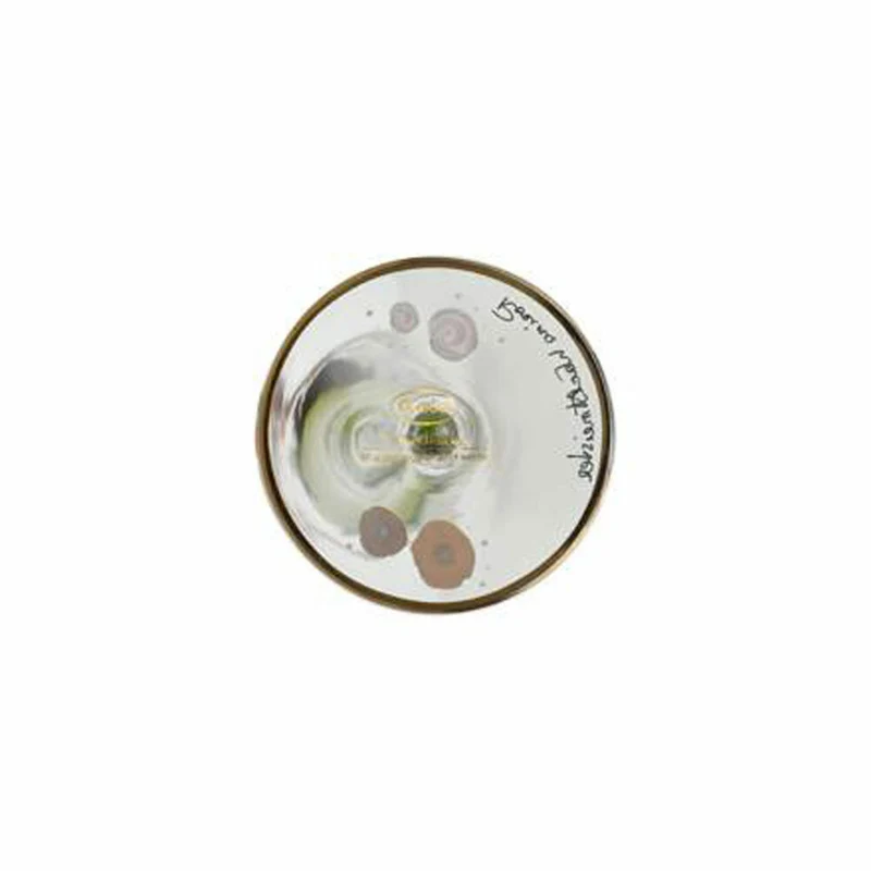 Goebel Sektglas Rosina Wachtmeister - Lestate in giardino, Champagnerglas, Sekt, Glas, 66926451