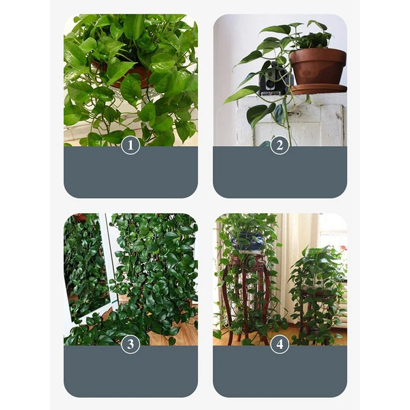 10pcs Leaf Shape Self-Adhesive Hook
