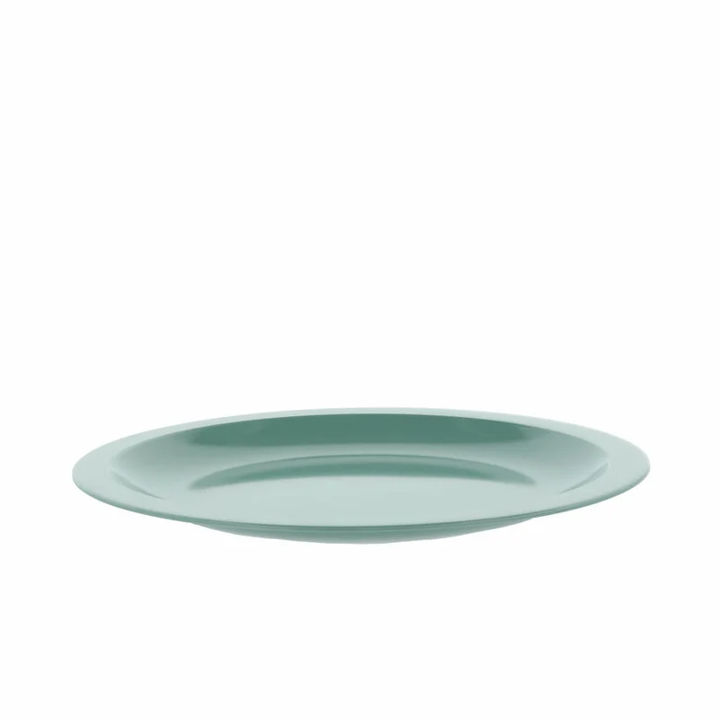 Rosti Speiseteller Hamlet, Essteller, Teller, Melamin, Nordic Green, 24.5 cm, 23979