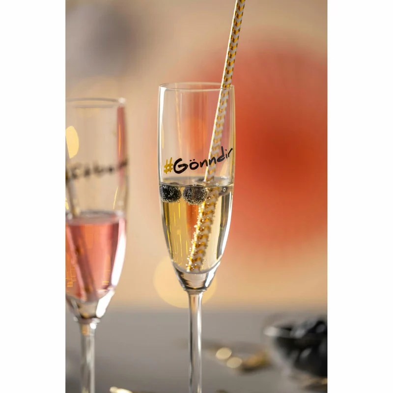 Leonardo Sektglas Presente Gönndir, Sekt Glas, Champagnerglas, Champagner, Kristallglas, 200 ml, 044516