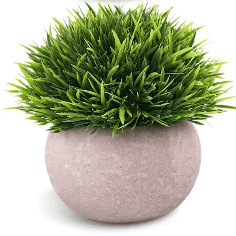 Artificial Green Mini Green Grass Pot for Home Decor