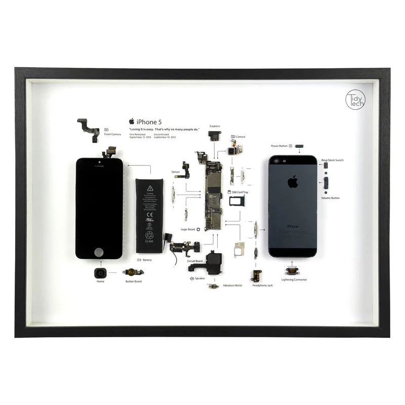 The Frame