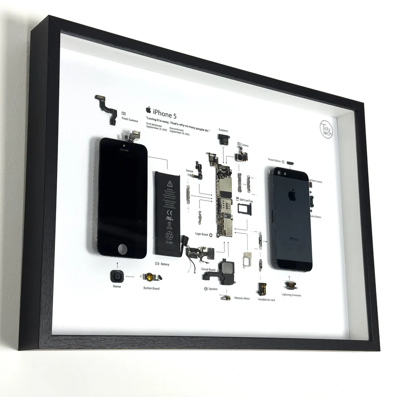The Frame