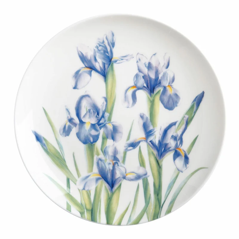 Maxwell & Williams Teller Iris - Katherine Castle Floriade, Speiseteller, Frühstücksteller, Bone China, Bunt, 20 cm, JY0049