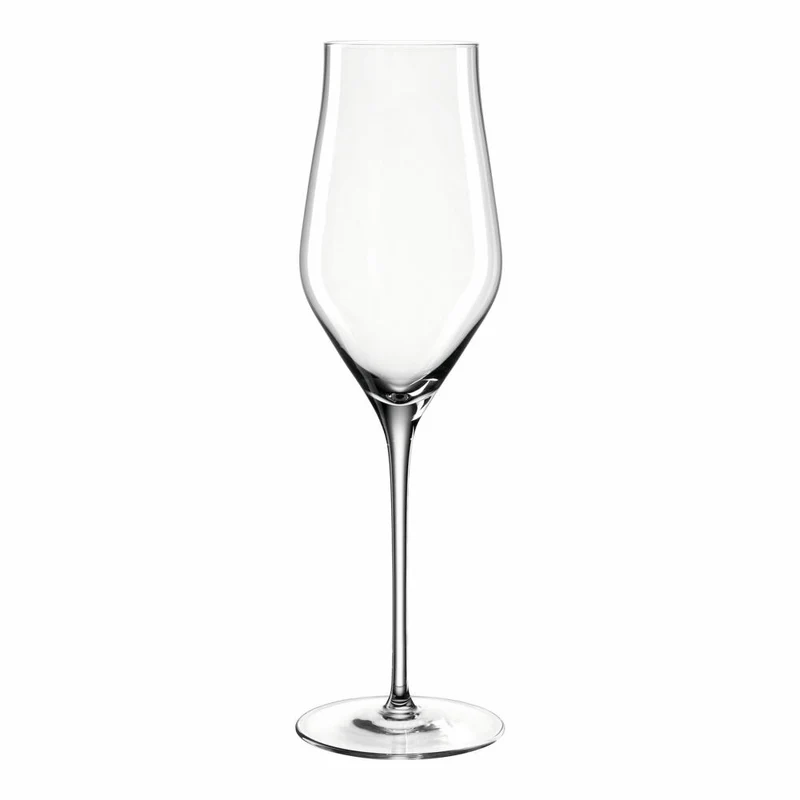 Leonardo Champagnerglas Brunelli, Schaumweinglas, Kristallglas, klar, 340 ml, 066408