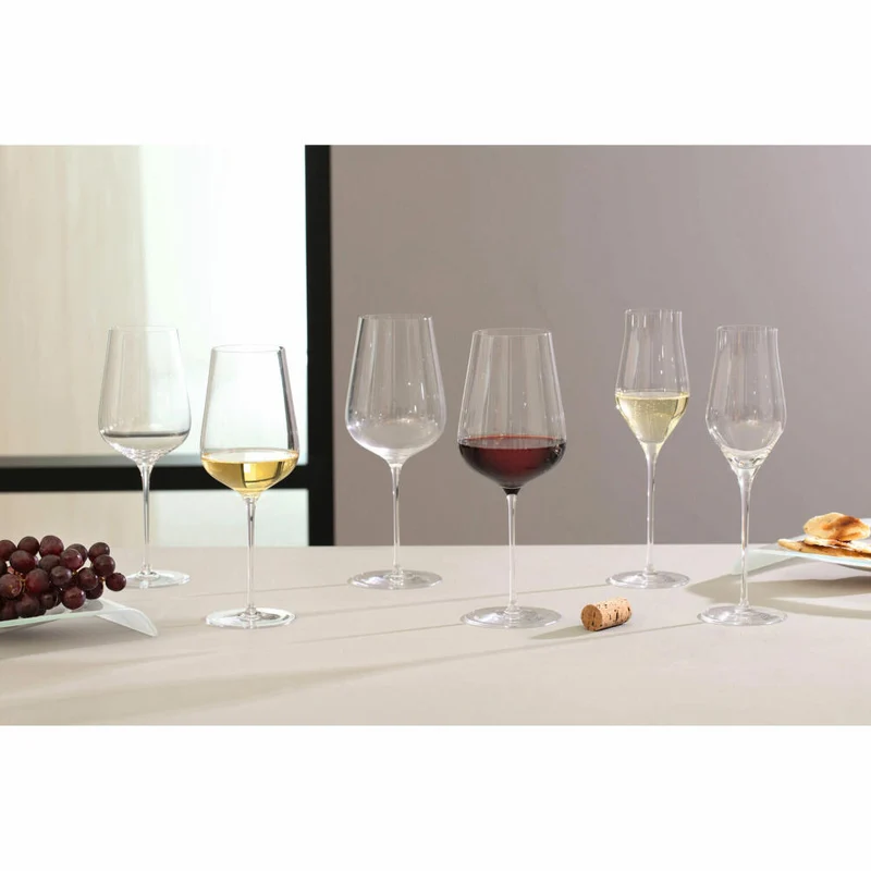 Leonardo Champagnerglas Brunelli, Schaumweinglas, Kristallglas, klar, 340 ml, 066408