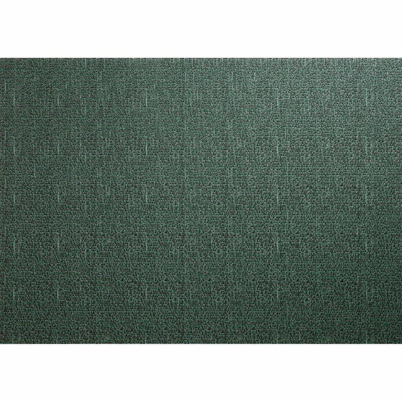 ASA Selection PVC Placemats Tischset, Platzmatte, Platzdeckchen, PVC, Grün, 33 x 46 cm, 78015076
