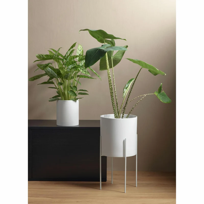 ASA Selection haruko Übertopf, Blumentopf, Pfanzentopf, Pflanzkübel, Blumenkübel, Steingut, Weiß Matt, H 29 cm, 64057091
