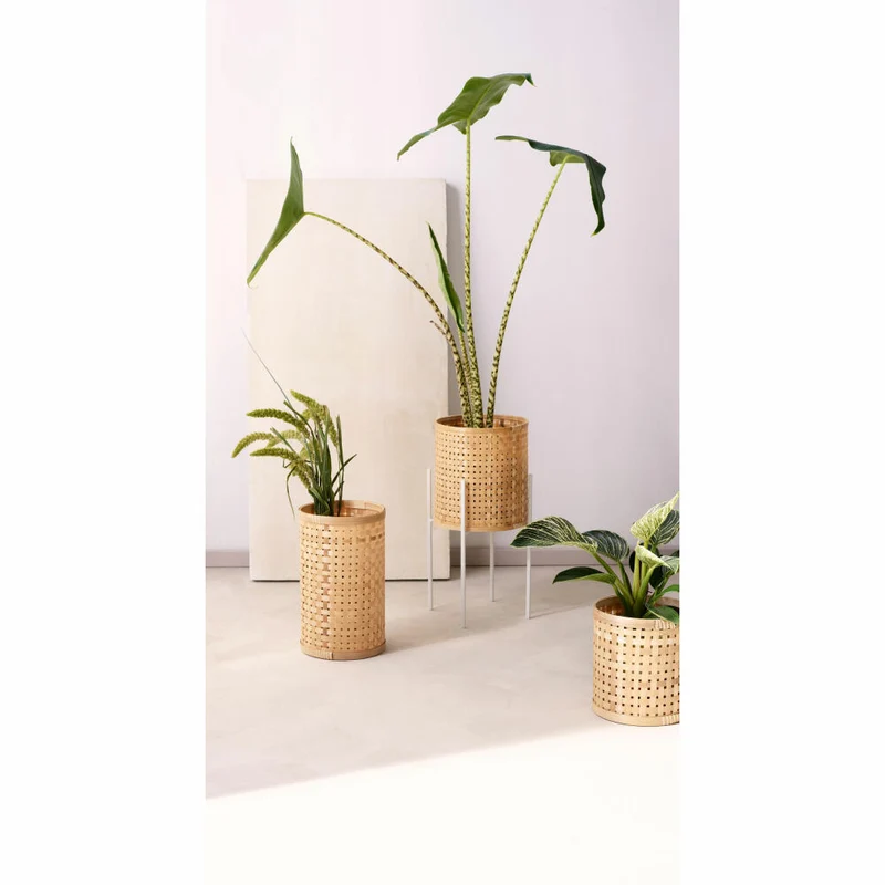 ASA Selection haruko Bambus Zylinder, Übertopf Blumentopf, Pflanzkübel, Blumenkübel, Bambus, Natur, H 19.5 cm, 64082971